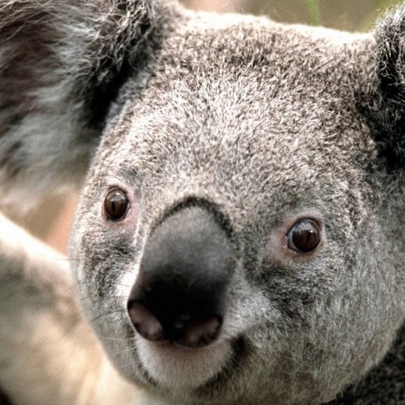 Meet your Posher, Aaron - Picture 1 of 1